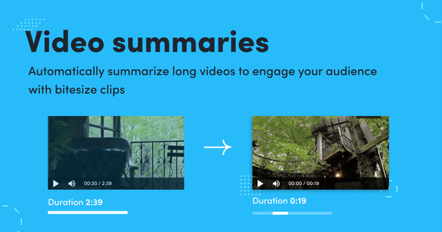 Video Summarization